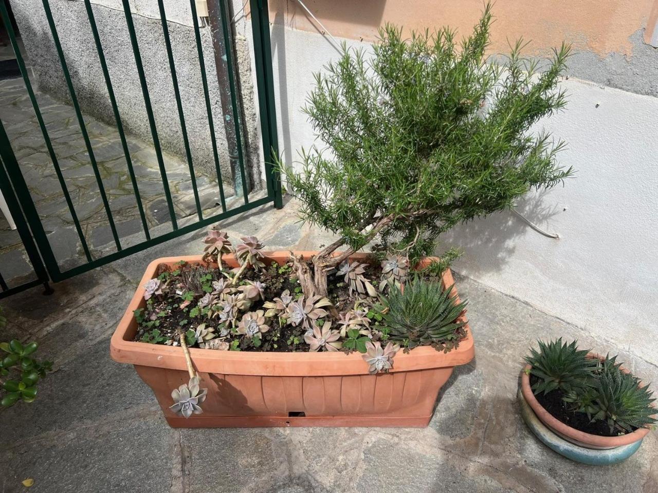 Appartamento Vicino Al Mare Moneglia Bagian luar foto