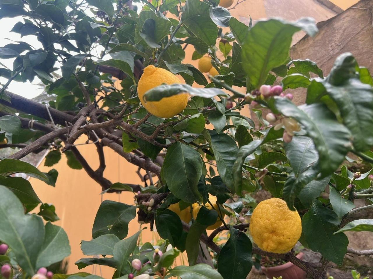 Appartamento Vicino Al Mare Moneglia Bagian luar foto